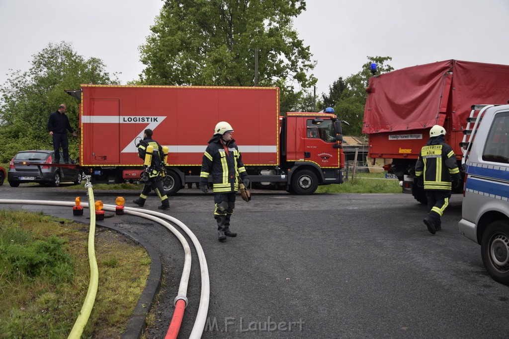 Feuer 3 Rheinkassel Feldkasseler Weg P1585.JPG - Miklos Laubert